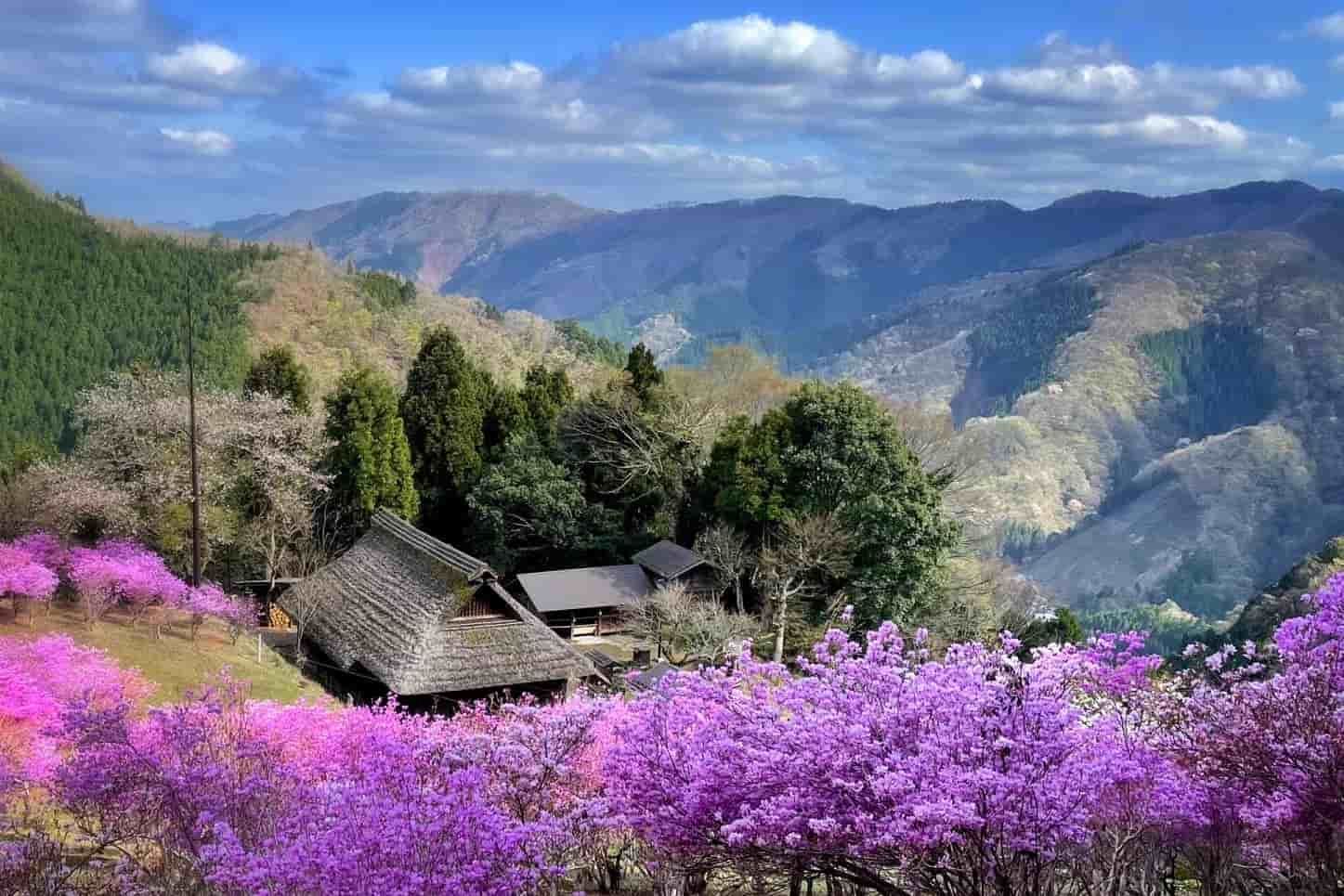 スライダー画像1