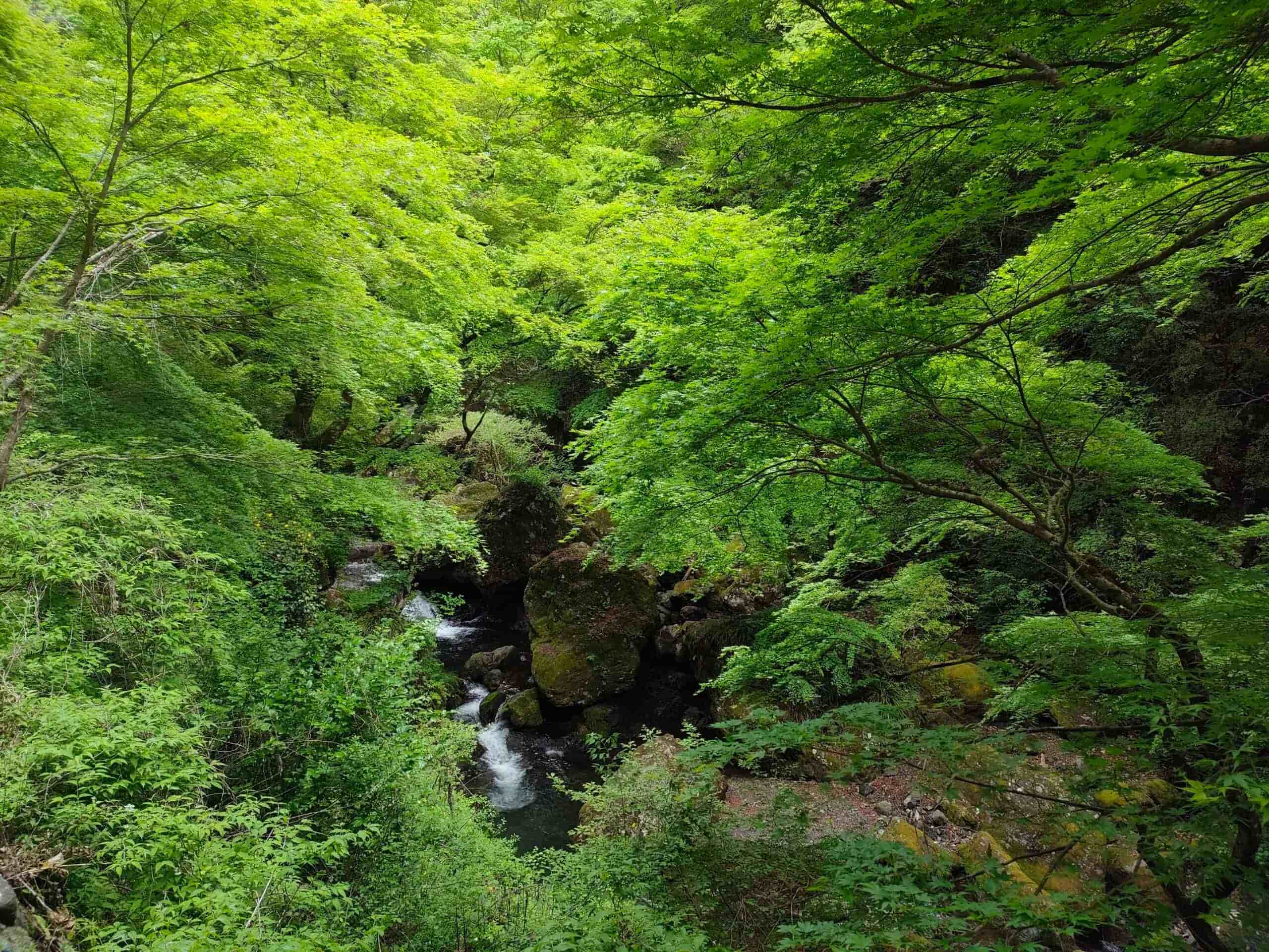 スライダー画像10