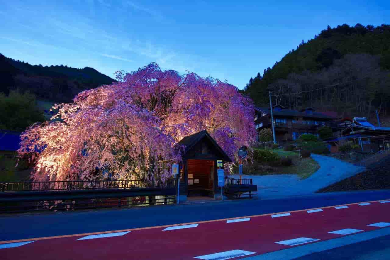 スライダー画像2