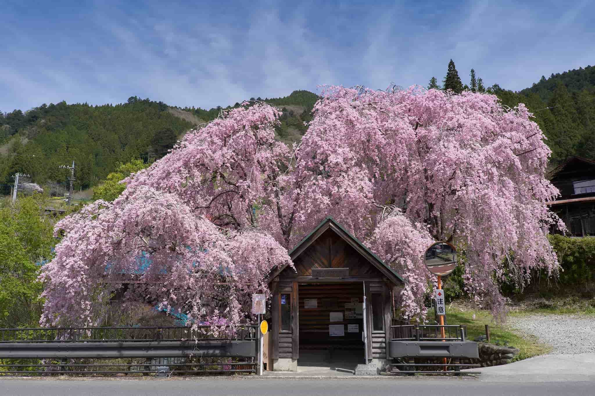 スライダー画像3